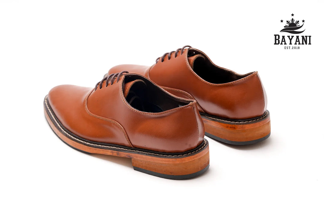 Pair of brown leather shoes on a white background with Bayani logo.
