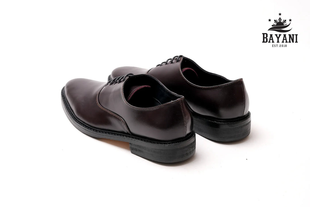 Pair of brown leather shoes on a white background with Bayani logo.
