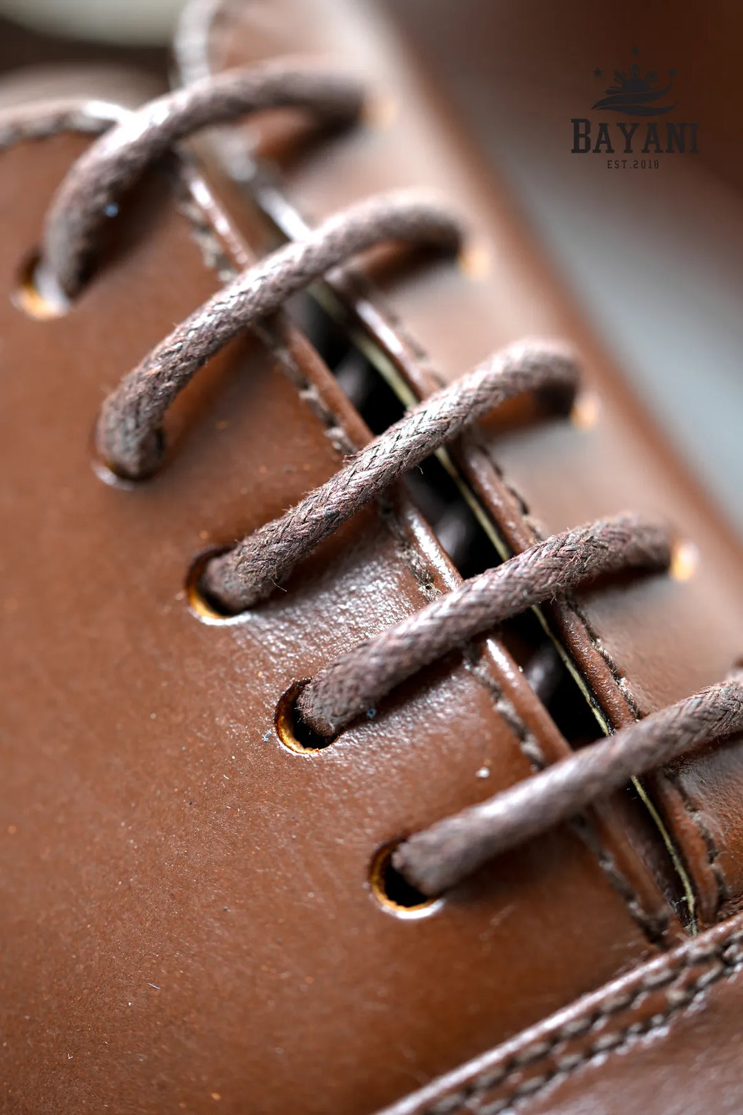 Close-up of brown leather shoe with laces and &