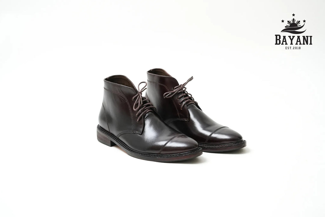 Pair of brown leather shoes on a white background with Bayani logo.

