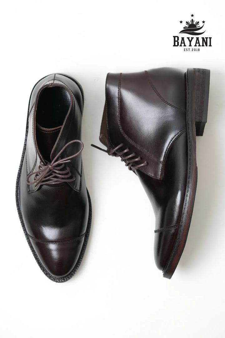 Pair of brown leather shoes on a white background with Bayani logo.
