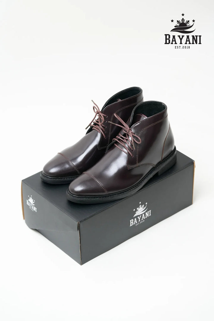 Brown leather shoes on a black box with Bayani logo above.

