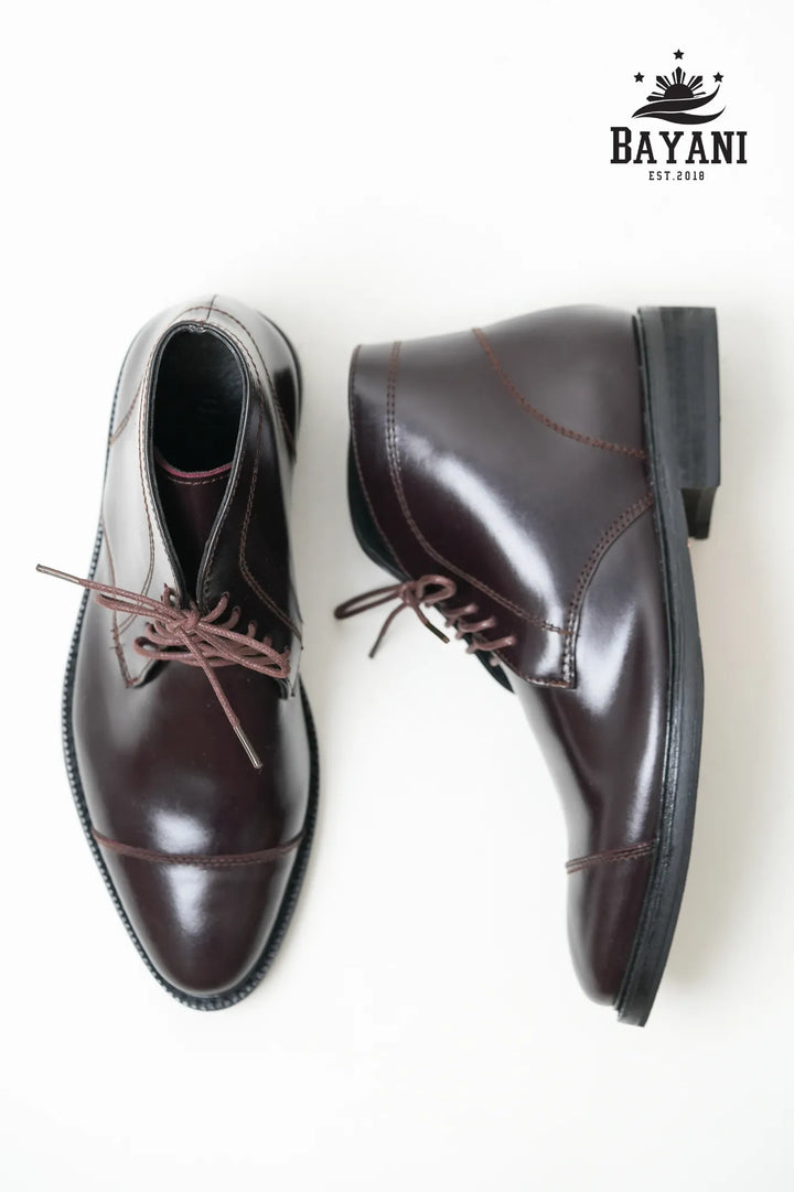Pair of brown leather shoes with &