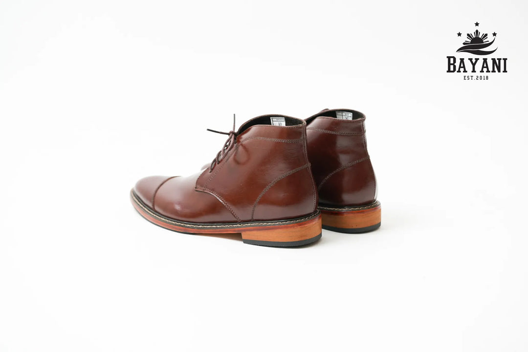 Pair of brown leather shoes on a white background with Bayani logo.
