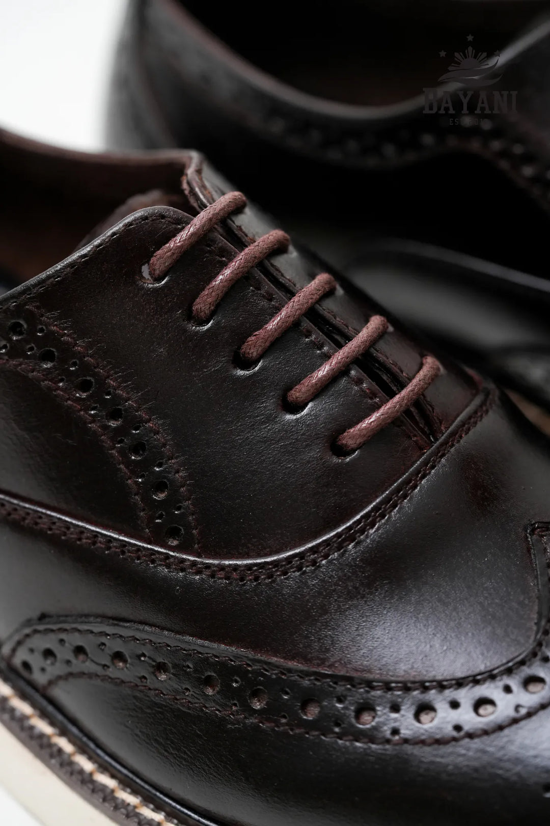 Close-up of dark brown leather shoes with visible stitching and brand name.
