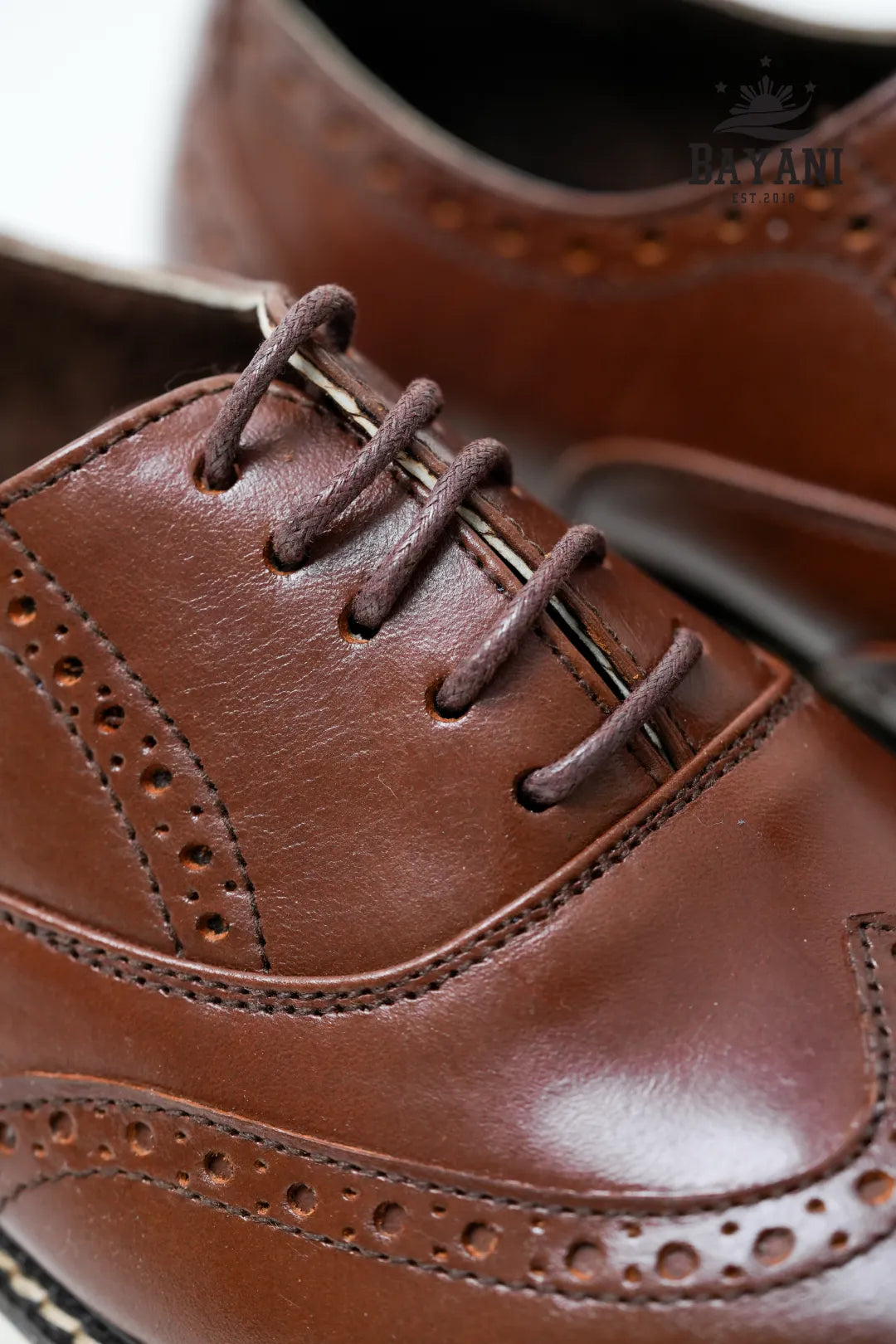 Close-up of brown leather shoes with visible brand logo.
