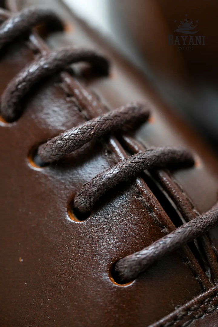 Close-up of brown leather shoe with laces, brand &